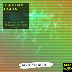 Never Say Never album cover