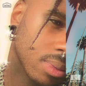 Palm Tree Shade album cover