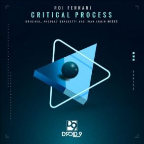 Critical Process (Maxi-Single) album cover