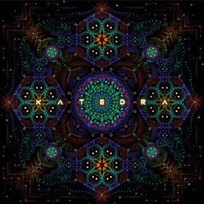 We Are Not Alone album cover