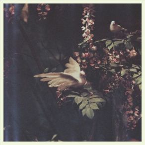Mania album cover
