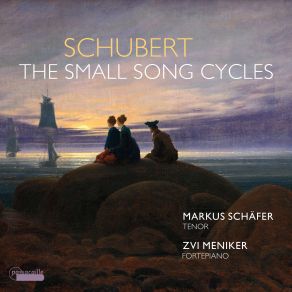 Schubert: The Small Song Cycles (Markus Schafer, Zvi Meniker) (Japan Edition) album cover