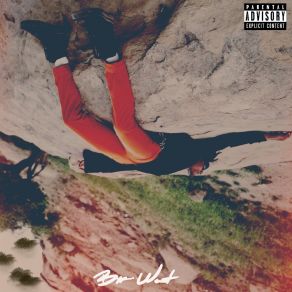 WHO THE FUCK IS BYRUS WEST? album cover