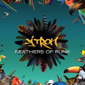 Feathers Of Funk album cover