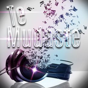 Te Mudaste (Remix) album cover
