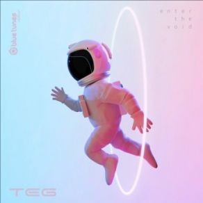 Enter The Void (Maxi-Single) album cover