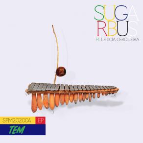 Tem album cover