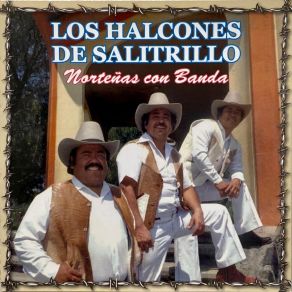 Norteñas Con Banda album cover