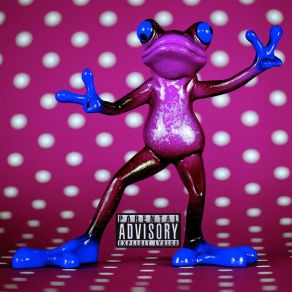 Scusate Una Domanda album cover