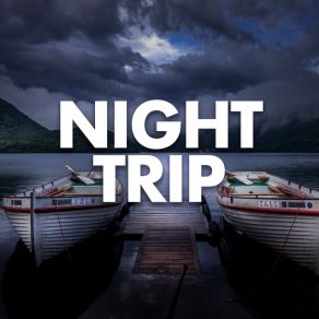 Night Trip album cover
