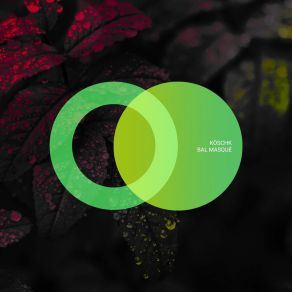 Bal Masqué album cover