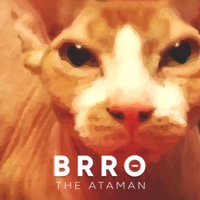 Brro album cover