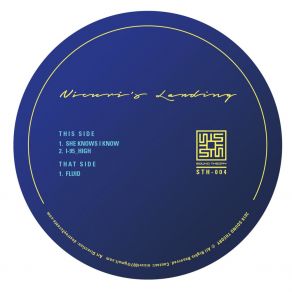 Nicuri's Landing album cover