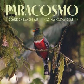 Paracosmo album cover