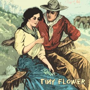 Tiny Flower album cover