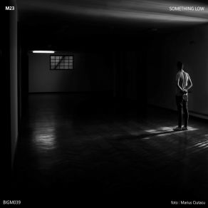 Something Low album cover