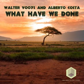 What Have We Done (Single) album cover