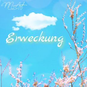 Erweckung album cover