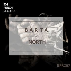 North album cover