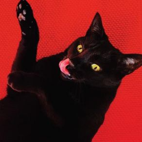 Big Colors album cover
