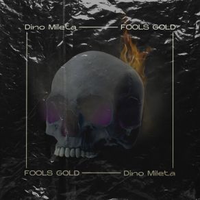 Fools Gold album cover