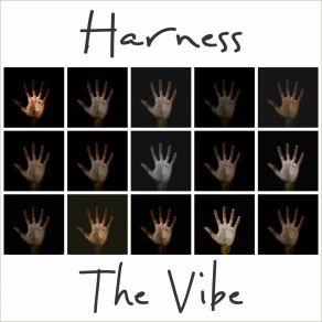 Harness The Vibe album cover
