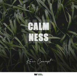 Calmness (Maxi-Single) album cover
