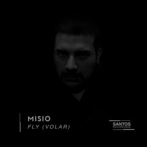 Fly album cover