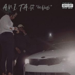 A. N. I. T. A Got Da Blues album cover
