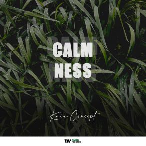 Calmness album cover