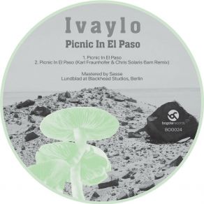Picnic In El Paso album cover