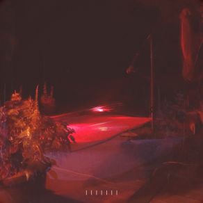 Call Collect 7 album cover