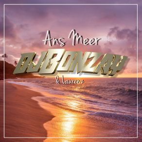Ans Meer album cover