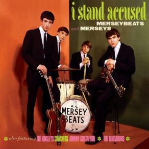 I Stand Accused album cover