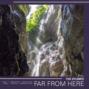 Far From Here album cover