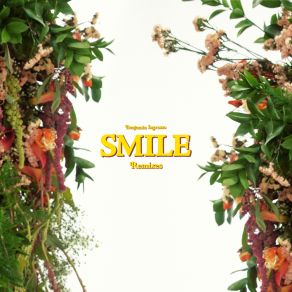 Smile (Remixes) album cover