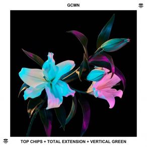 Top Cips + Total Extension + Vertical Green album cover