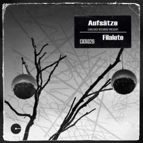 Aufsätze album cover
