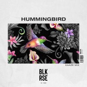 Hummingbird (KAAZE Mix) album cover