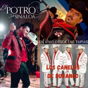 En Vivo Desde Las Tapias (En Vivo Desde Las Tapias) album cover