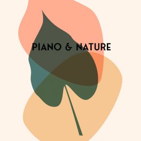 Piano & Nature – Relaxing Jazz Session For Nerves And Stress album cover