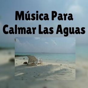 Música Para Calmar Las Aguas album cover