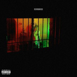Metamorfosis album cover