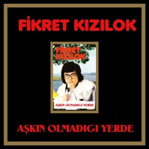 Aşkın Olmadıgı Yerde album cover