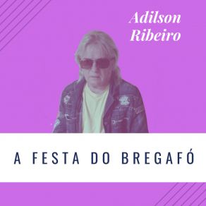 A Festa Do Bregafó album cover
