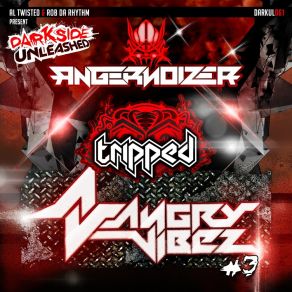 AngryVibez # 3 album cover