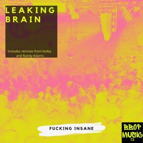Fucking Insane album cover