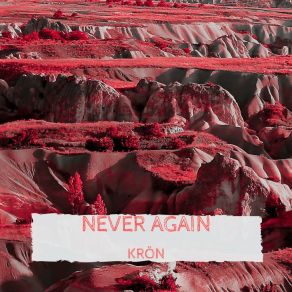 Never Again album cover