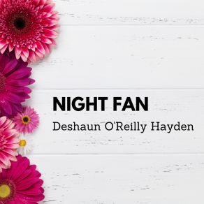 Night Fan album cover