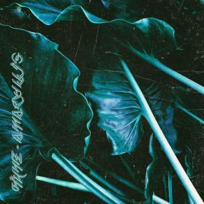 Amaryllis album cover
